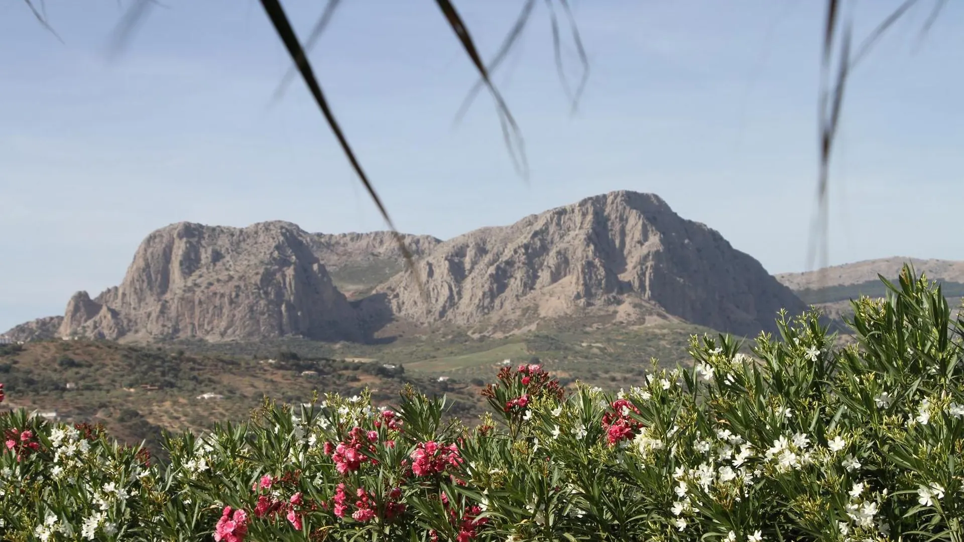 Hacienda Riogordo Bed & Breakfast 0*,  Spain